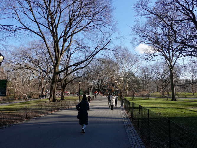 NYC_2024-02-03 09-14-55_RX_06897